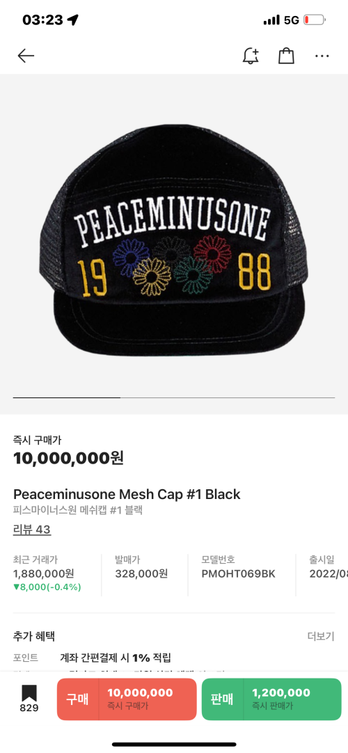 GD 피마원모자